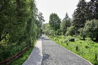 Отзыв о Ботанический сад (Россия, Самара) | Красивое место для отдыха от  города