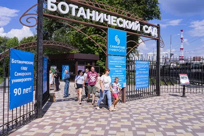 Когда откроется Ботанический сад в Самаре - 11 апреля 2023 - 63.ru