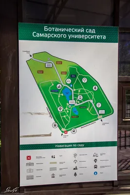 Отзыв о Ботанический сад (Россия, Самара) | Ботанический сад Самара, зимой  и летом здесь прекрасно
