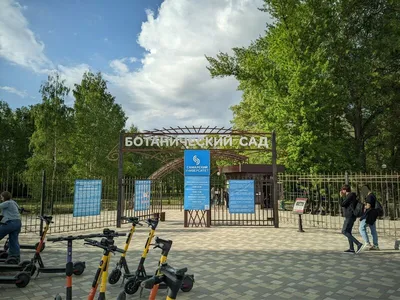 Ботанический сад Самарского государственного университета ( СамГУ), Самара  - «Оазис прямо посреди города» | отзывы