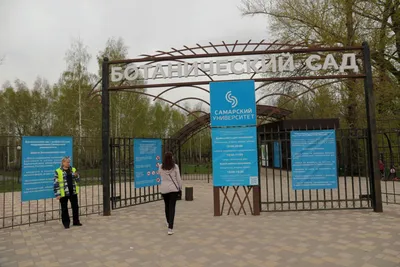 В Самаре около 900 жителей выступили против стройки в Ботаническом саду –  Коммерсантъ Самара