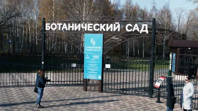 Ботанический сад в Самаре хотят сделать открытым круглогодично - 25 января  2022 - 63.ru