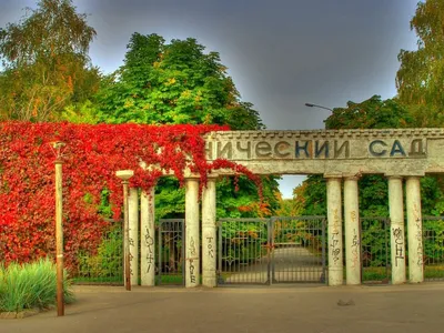 komunavolge.ru: Оранжерея, столетние ели и тропики. Ботанический сад в  Самаре - Самарский университет