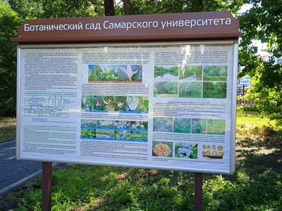 Сессия регионального Совета ботанических садов Урала и Поволжья |  Удмуртский государственный университет
