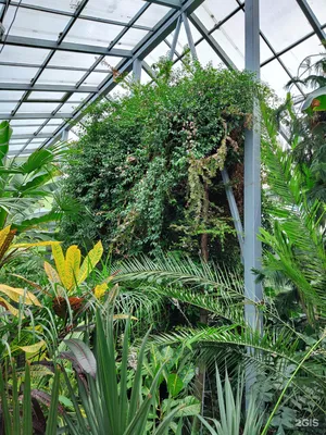 В Самаре благоустроят Ботанический сад. Что изменится