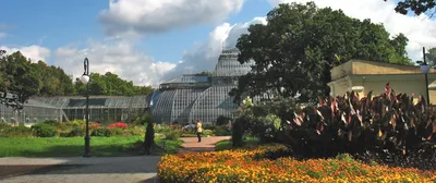 Ботанический сад Петра Великого: Сады и парки - Петербург 24