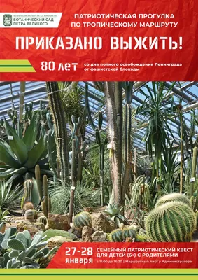 VLOG 23. Ботанический Сад. Санкт-Петербург, март 2018. - YouTube