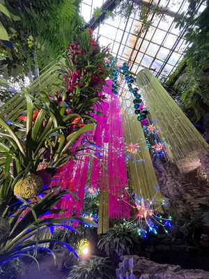 Что посмотреть в Водной оранжерее Ботанического сада | Blog Fiesta