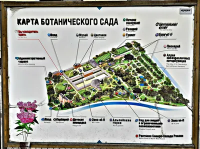 File:0064Ca. Санкт-Петербург. Ботанический сад Петра Великого.jpg -  Wikimedia Commons