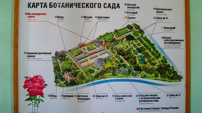 Ботанические сады России | ДВОРЦЫ, САДЫ, ПАРКИ /12+/