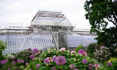 Ботанический сад Петра Великого в Санкт-Петербурге: как добраться, часы  работы, цены, фото