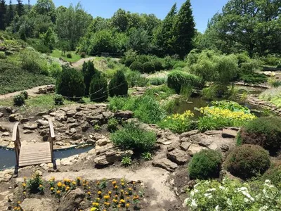 Ботанический сад ставрополь фото фотографии