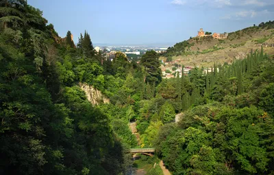 Ботанический сад тбилиси фото фотографии