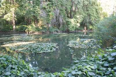 Ташкентский ботанический сад