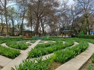 Tashkent botanical garden - Wikidata