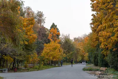 UzNews - Как проходят вступительные экзамены в Ботаническом саду в Ташкенте  — фото