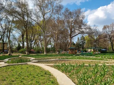 В Ташкенте закрывается Ботанический сад - 31.08.2020, Sputnik Узбекистан
