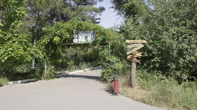 Ботанический сад в Ташкенте – цены, что посмотреть, как добраться, отели  рядом на Туристер.ру