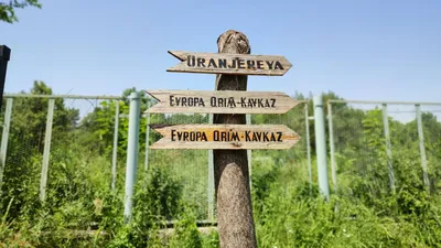 CentralAsia: В Ташкенте ботанический сад закроют из-за проведения экзаменов  в вузы
