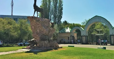 Стали известны новые подробности о будущем Ботанического сада в Ташкенте