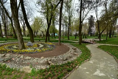 Ботанический сад в Ташкенте – цены, что посмотреть, как добраться, отели  рядом на Туристер.ру
