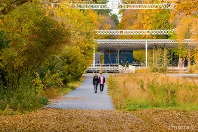 UzNews - Ташкентский ботанический сад открылся для посетителей