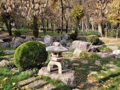 Ботанический сад в Ташкенте превратят в уникальный природно-растительный  центр и выведут на мировой уровень - Anhor