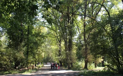 Ташентский Ботанический сад ждет реконструкция