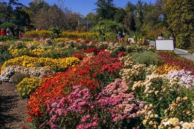 Ботанический сад владивосток фото фотографии