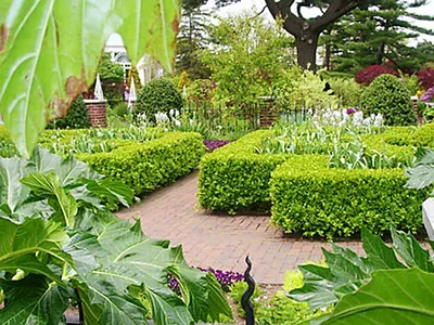 Ботанический сад воронеж фото фотографии