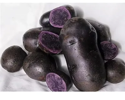 Овощи Картофель чёрный - «Черным бывает не только тюльпан. Вкус. Цвет. Вид.  Фото блюда. Как советует гастроэнтеролог правильно есть картофель.» | отзывы