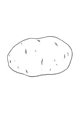 Винтажный черно-белый рисунок с изображением картофеля — Abali.ru