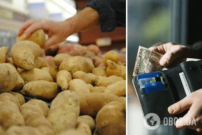 6 советов - как посадить картофель и получить урожай в мае 2022 г › Статьи  › 47новостей из Ленинградской области