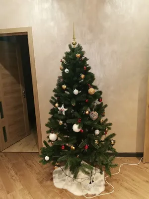 Рекомендации по выбору новогодней елки | Яльчикский муниципальный округ  Чувашской Республики