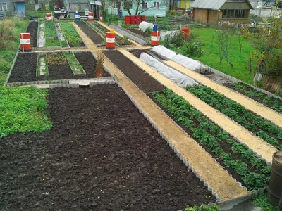 10 простых шагов чтобы создать плодородный огород, сад, дача, участок |  Домовой | Огород, Компостирование, Дизайн