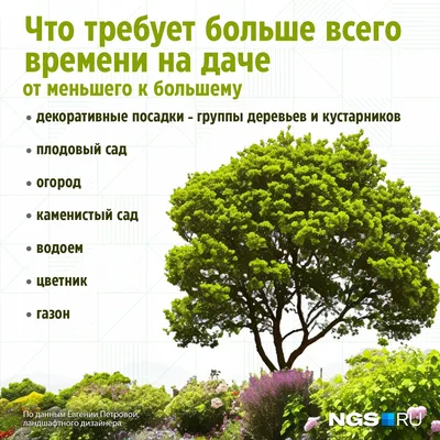 Моя Уютная Дача, сад и огород 2024 | ВКонтакте