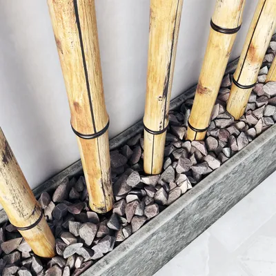 Декор из бамбука в фундаменте