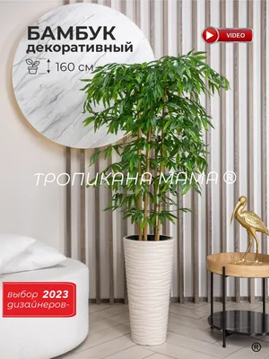 Купить Искусственное растение, декоративное дерево, бамбук комнатный  высокий большой напольный в бежевом кашпо для декора, интерьера дома, в  подарок, 130 см по выгодной цене в интернет-магазине OZON.ru (843596228)