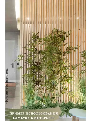 Декор из бамбука на стену - 65 фото