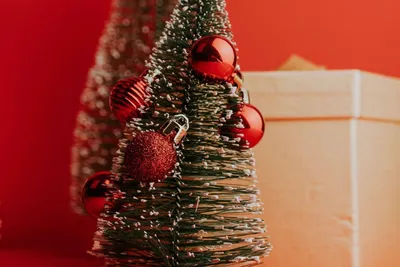 Декоративная новогодняя елка из веток @novi_fleur @agonistikosster |  Рождественские идеи, Рождественские поделки своими руками, Зимние поделки