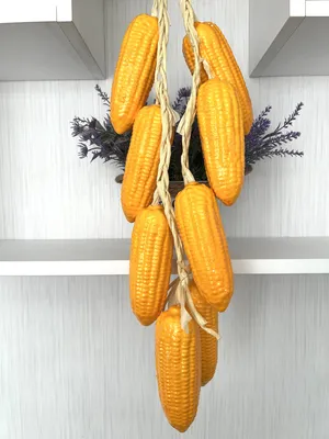 Купить семена Кукуруза декоративная Пестрая лента F1 в магазине Первые  Семена по цене 30 руб.