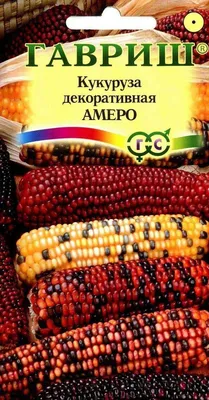Купить семена Кукуруза декоративная F1 ЗВЕЗДА (0,5 гр) в магазине ГринПрофи  Тольятти
