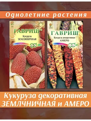 Кукуруза Декоративная Амеро 5 шт. семена купить в Самаре по цене 21 руб.