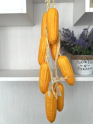 Декоративная кукуруза фото фото