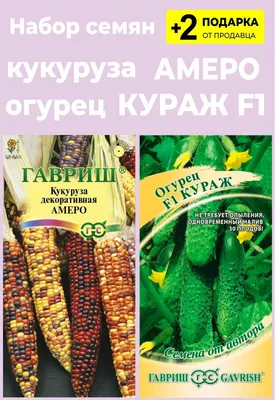 Цветная кукуруза: 7+ самых ярких и вкусных сортов | На грядке (Огород.ru)