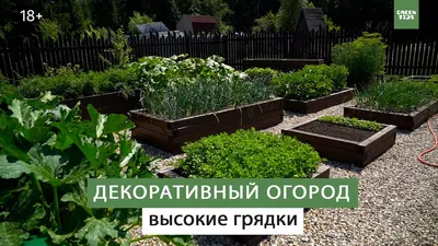 Поговорим о грядках. Как огород сделать функциональным, простым в уходе и  одновременно декоративным украшением сада? - Alena Samoylenko