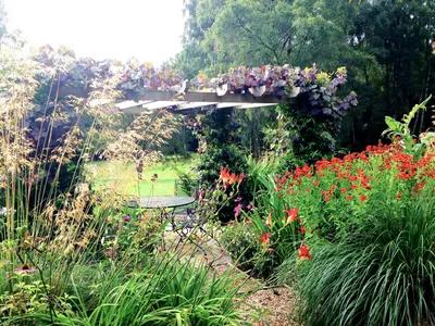 Красиво цветущие декоративные кустарники для сада. Описание с названиями и  фото.