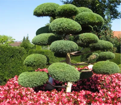 Декоративные сады на замках в Франции Стоковое Изображение - изображение  насчитывающей рядок, вечнозеленый: 33121555