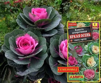 Декоративные фонтаны для сада купить в Екатеринбурге, цена договорная от  Зеленая планета, компания ландшафтного дизайна — Проминдекс — ID1581515