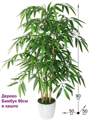 Искусственное дерево \"Бамбук\" в новом формате 150 см Gerard de ros |  AliExpress